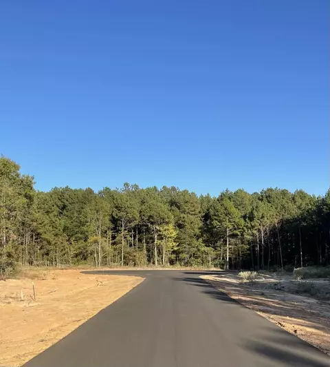 tbd Lot 30 Stonebrook Ct, New Diana, TX 75640
