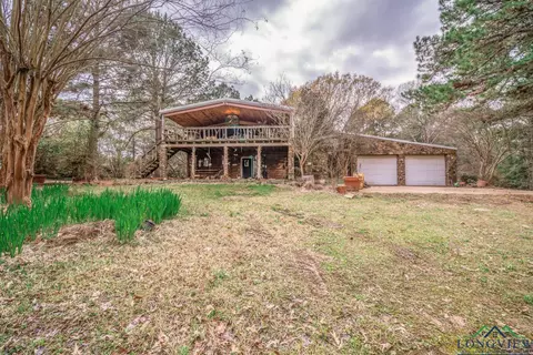 5685 Driskell Bridge Rd, Harleton, TX 75651 photo 1