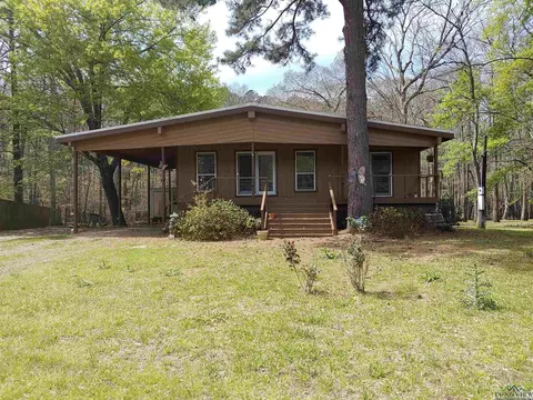 325 Lori Ln, Karnack, TX 75661 photo 1