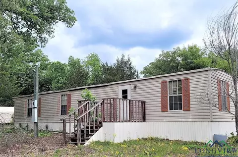 1255 Hickory Dr, Harleton, TX 75651 photo 1
