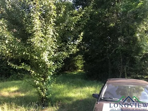 115 Richardson Dr, Longview, TX 75602 photo 3
