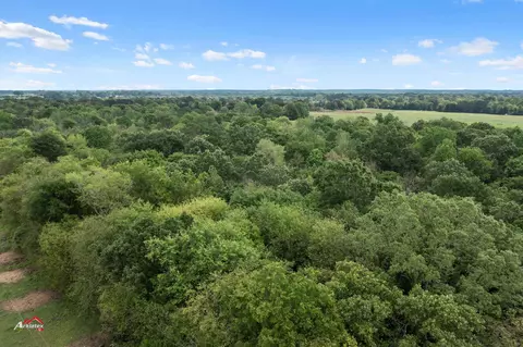 tbd Cr 246, Beckville, TX 75631