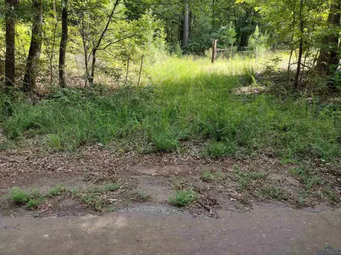 tbd Willow Point Marina Rd, Lone Star, TX 75668