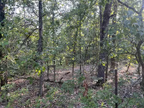 tbd Pr 7728, Jefferson, TX 75657