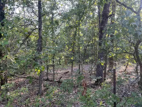 tbd Pr 7728, Jefferson, TX 75657
