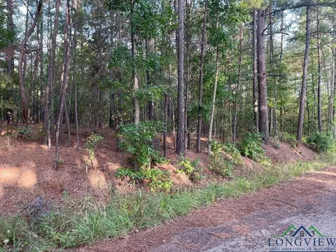 tbd Pops Landing Road Cr 2610, Ore City, TX 75683