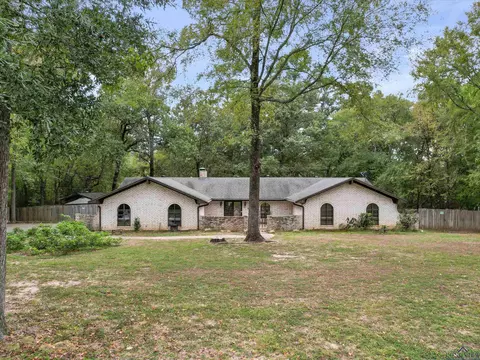 1123 Pine Bluff Dr, Longview, TX 75604 photo 1