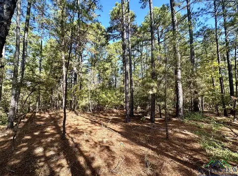 1204 Mcphail, Harleton, TX 75651 photo 1
