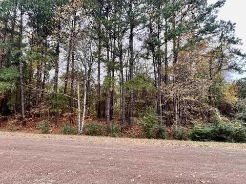 tbd Loop 390, Marshall, TX 75672 photo 7