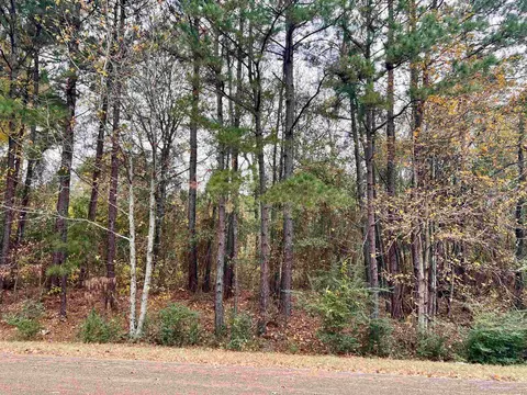 tbd Loop 390, Marshall, TX 75672 photo 8