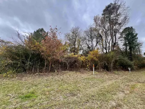 tbd Loop 390, Marshall, TX 75672 photo 5