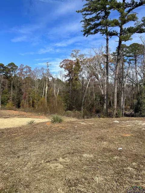 1007 Windy Rdg, Longview, TX 75604 photo 2