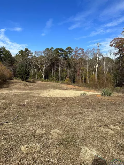 1007 Windy Rdg, Longview, TX 75604