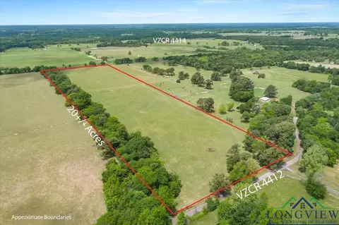 20 Acres Vz County Road 4412, Ben Wheeler, TX 75754