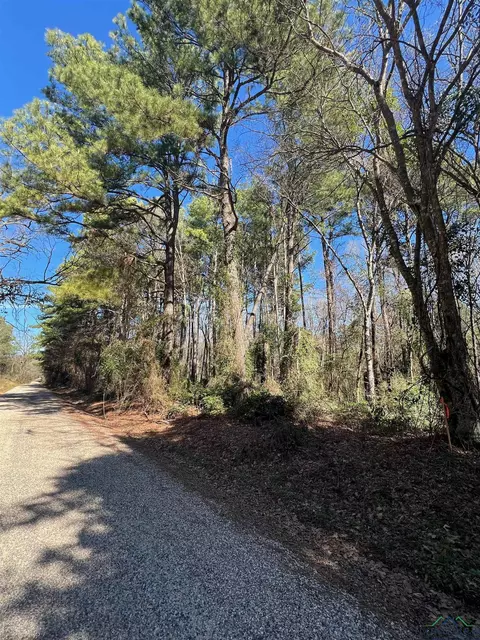 tbd Cr 2314, Pittsburg, TX 75686