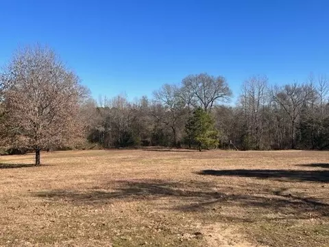 1601 County Road 1582, Avinger, TX 75630