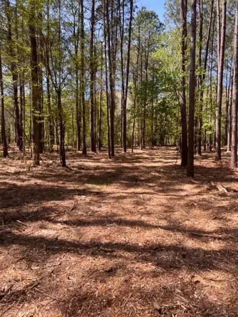 tbd County Road 1582, Avinger, TX 75630