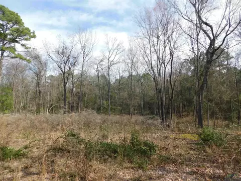 2107 Hackberry Rd, Gilmer, TX 75644 photo 1