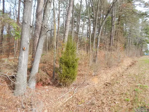 Tbd 11.72 Acres George Richey, White Oak, TX 75693