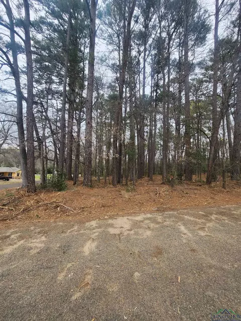 1001 Lorin Dr, Longview, TX 75602 photo 1