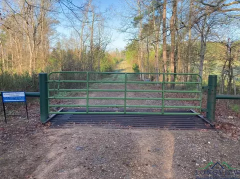 15165 N Cr 176, Kilgore, TX 75662