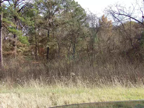 tbd Sandhill Ave, Easton, TX 75603