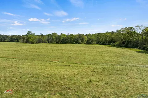tbd Fm 1970, Gary, TX 75643 photo 4