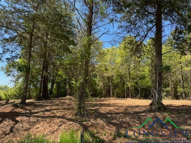 Lot 5 County Rd 4365