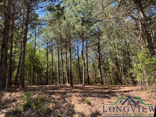 Lot 3 County Rd 4365