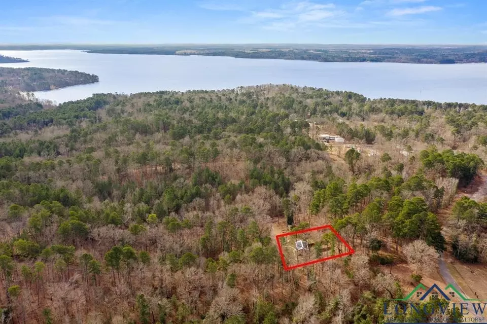 163 Ravenwood, Avinger, TX 75630 10 Photos Movoto