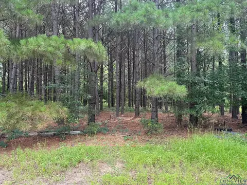 tbd Shiloh Rd #LOT 2, White Oak, TX 75693