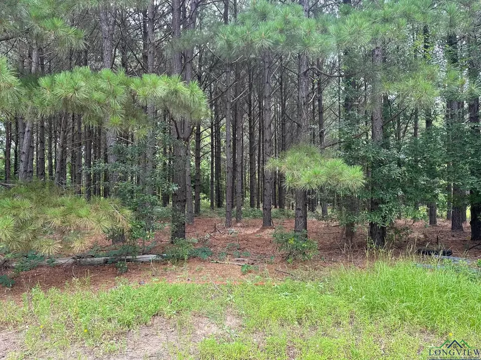  tbd Shiloh Rd #LOT 2, White Oak, TX 75693 photo 1