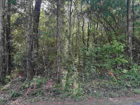 Tbd 44 Acres Cr 364 S, Henderson, TX 75654
