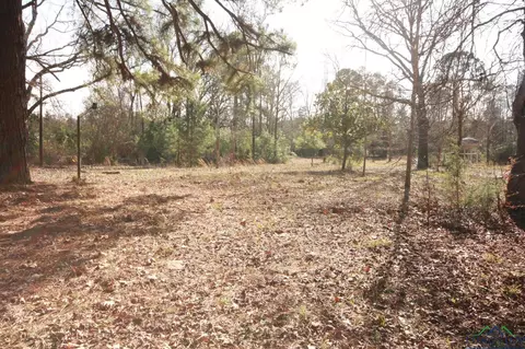349 Private Road 8901, Harleton, TX 75651 photo 1