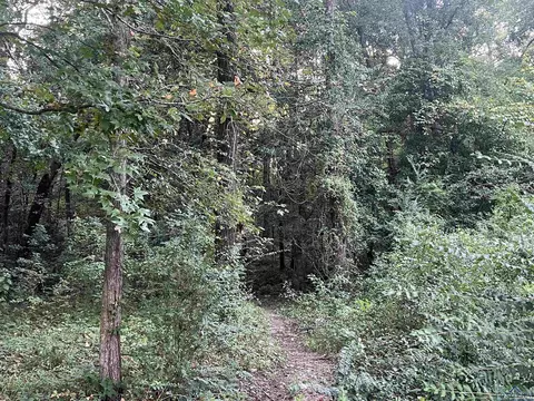 tbd Willowood Trl, Gilmer, TX 75645