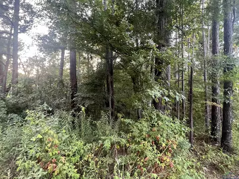 tbd Cedarwood Trl, Gilmer, TX 75645