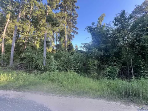 tbd Applewood Trl, Gilmer, TX 75645
