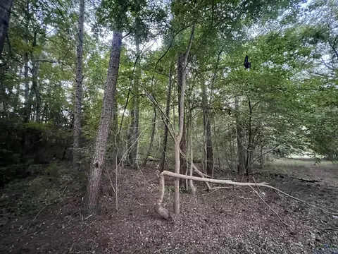 tbd Cactuswood Rd, Gilmer, TX 75645