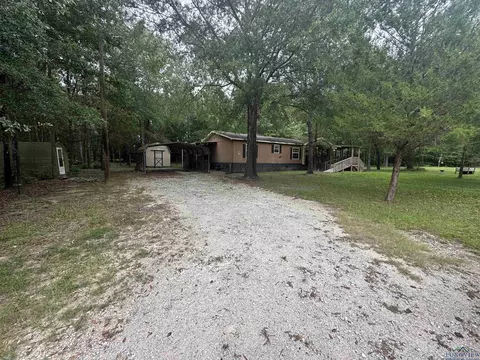 3854 Driskell Bridge Rd, Harleton, TX 75651 photo 1