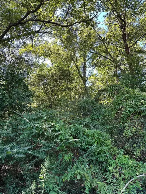 tbd Friou, Jefferson, TX 75657