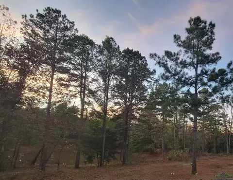 tbd Fm 16 E, Tyler, TX 75706