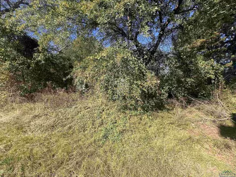 101 Hohman, Ore City, TX 75683 photo 1