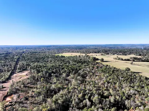 tbd Us 259 3331 Acres, Ore City, TX 75683
