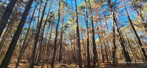 tbd Cr 405, San Augustine, TX 75972