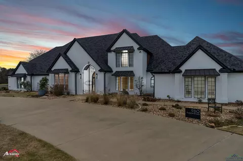 980 Ragon Rd, Harleton, TX 75651 photo 1