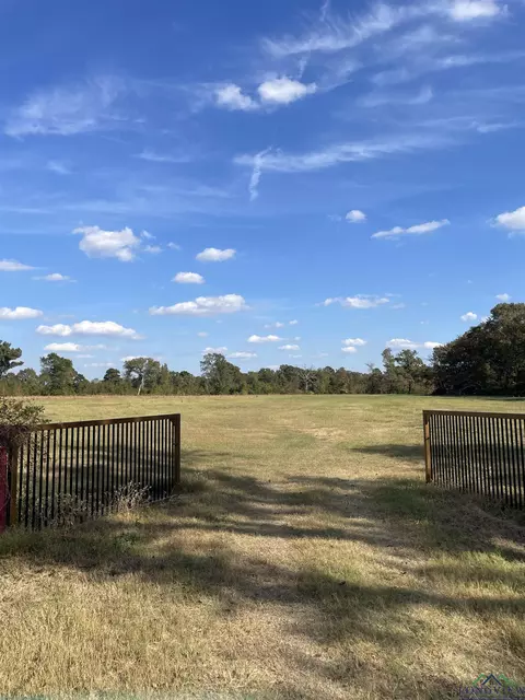 tbd Cr 3216, Pittsburg, TX 75686