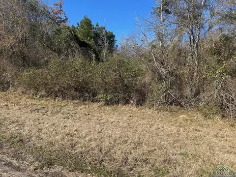 000 Cox Rd, Marshall, TX 75672 photo 7