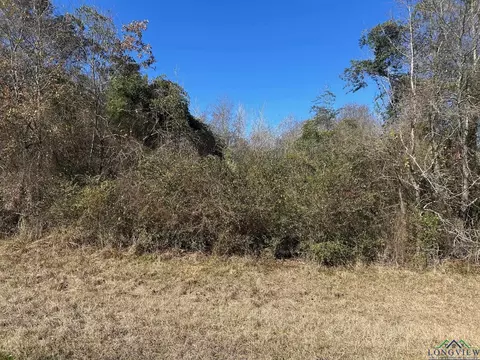 000 Cox Rd, Marshall, TX 75672 photo 9