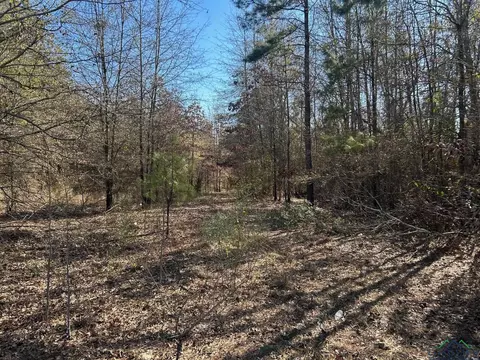 000 Cox Rd, Marshall, TX 75672 photo 4