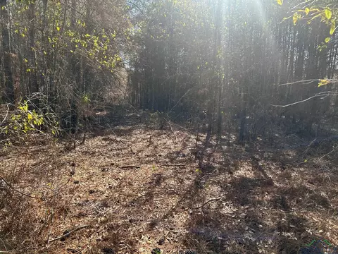 000 Cox Rd, Marshall, TX 75672 photo 5